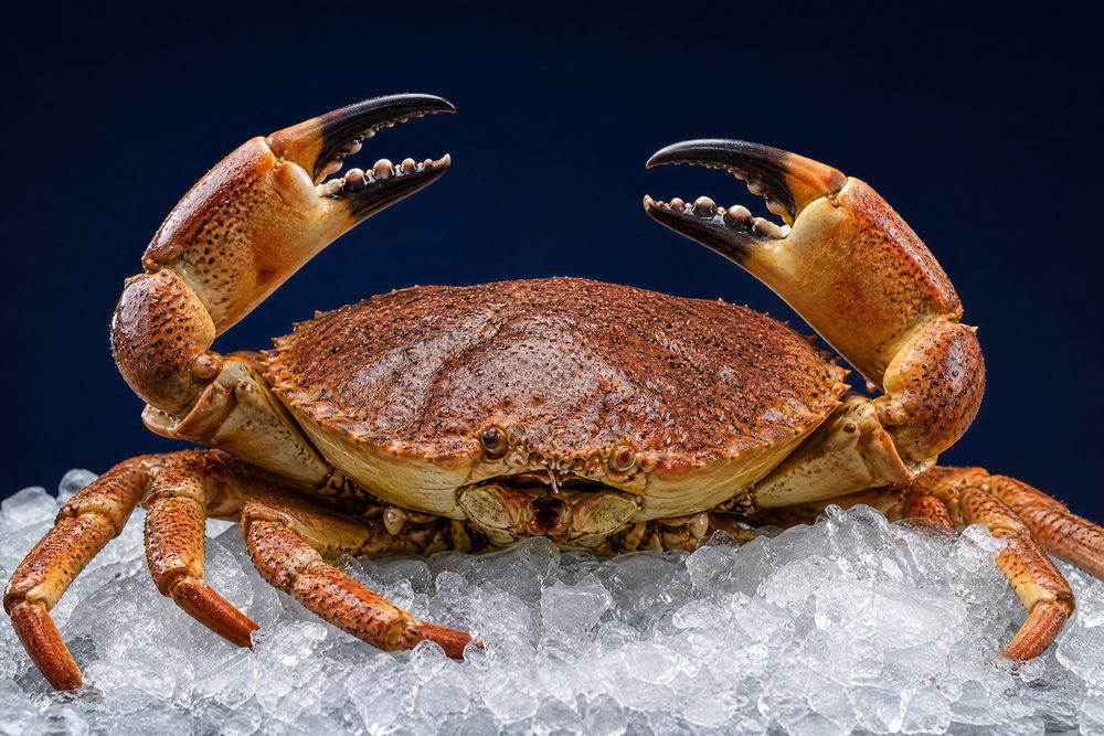 Crab