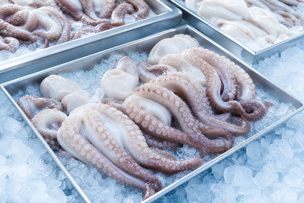 Octopus